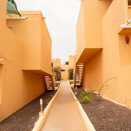 Oasis