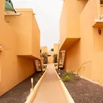 Oasis